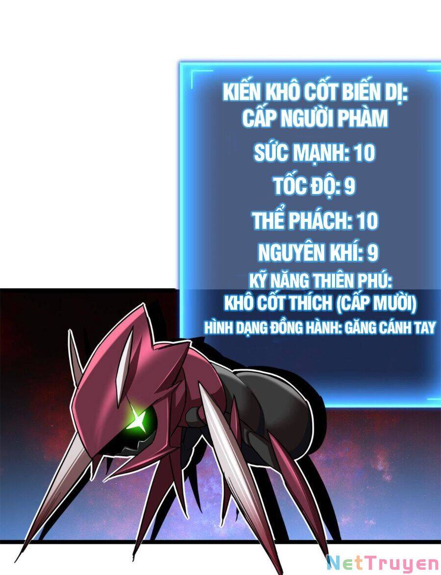 Ta Chỉ Muốn An Tĩnh Chơi Game - Chương 28