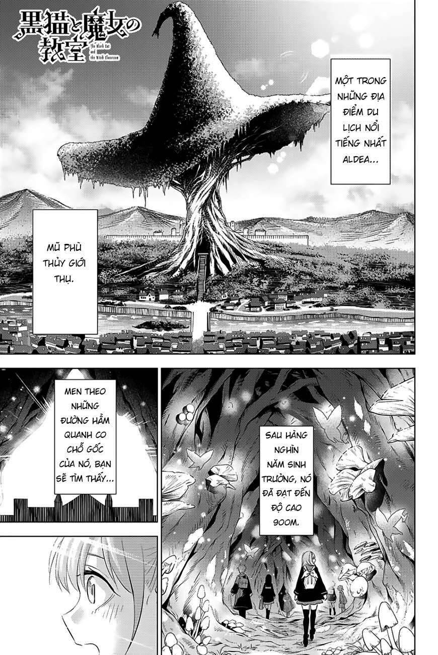Hắc Miêu Và Lớp Học Phù Thủy - Chương 4