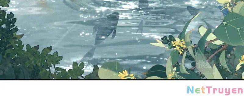 Mãn Cấp Trà Xanh Xuyên Không Thành Tiểu Đáng Thương - Chương 10