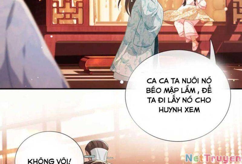 Mãn Cấp Trà Xanh Xuyên Không Thành Tiểu Đáng Thương - Chương 11