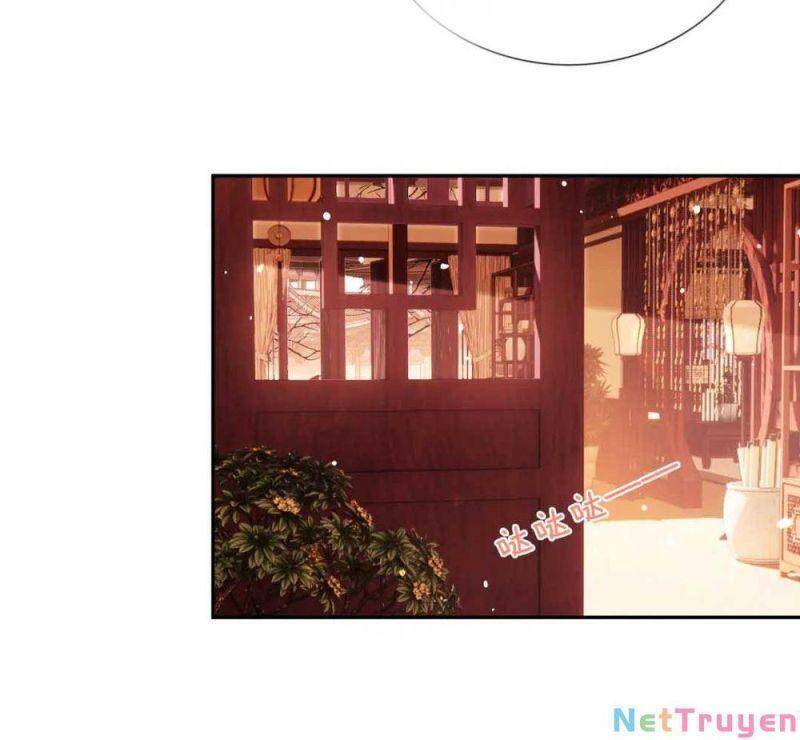 Mãn Cấp Trà Xanh Xuyên Không Thành Tiểu Đáng Thương - Chương 11