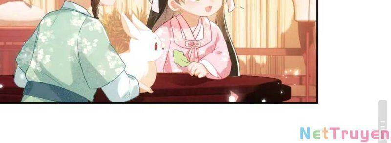 Mãn Cấp Trà Xanh Xuyên Không Thành Tiểu Đáng Thương - Chương 12