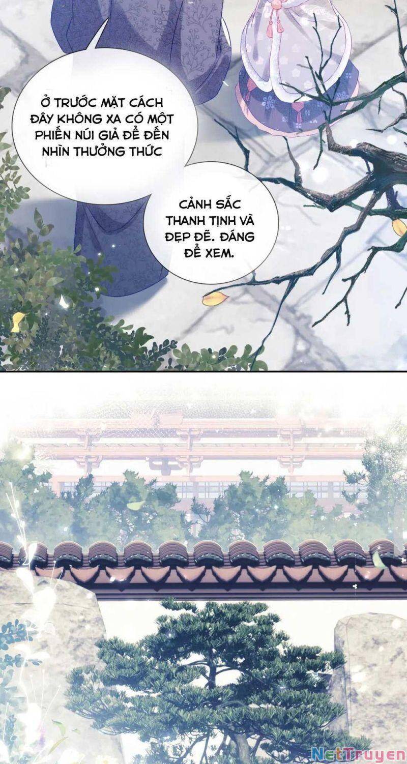 Mãn Cấp Trà Xanh Xuyên Không Thành Tiểu Đáng Thương - Chương 12