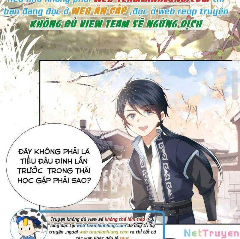 Mãn Cấp Trà Xanh Xuyên Không Thành Tiểu Đáng Thương - Chương 16