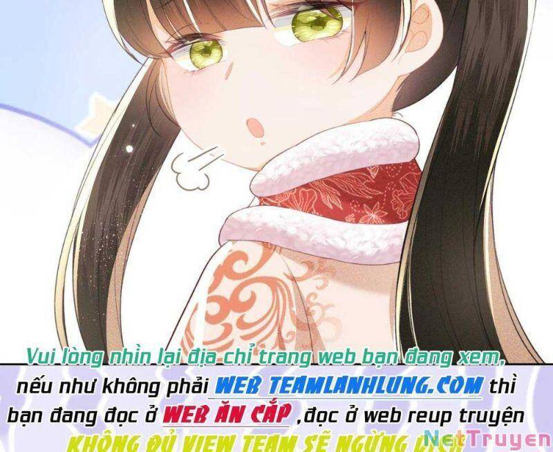 Mãn Cấp Trà Xanh Xuyên Không Thành Tiểu Đáng Thương - Chương 17