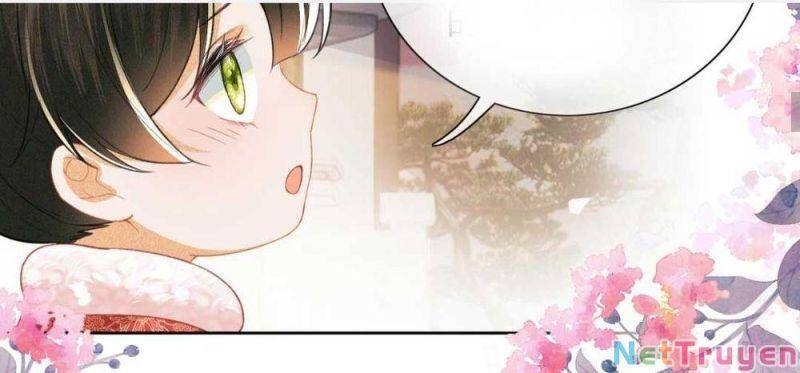 Mãn Cấp Trà Xanh Xuyên Không Thành Tiểu Đáng Thương - Chương 18