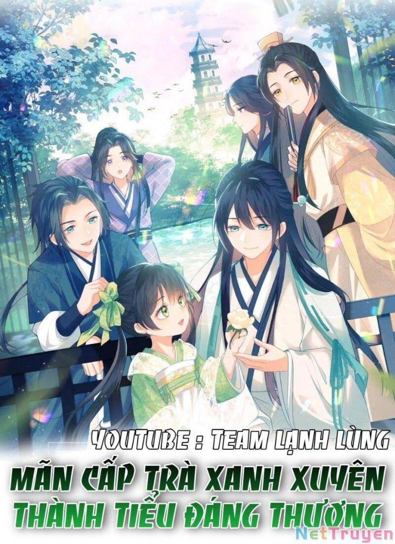 Mãn Cấp Trà Xanh Xuyên Không Thành Tiểu Đáng Thương - Chương 4