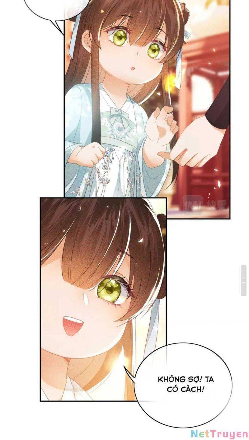 Mãn Cấp Trà Xanh Xuyên Không Thành Tiểu Đáng Thương - Chương 5