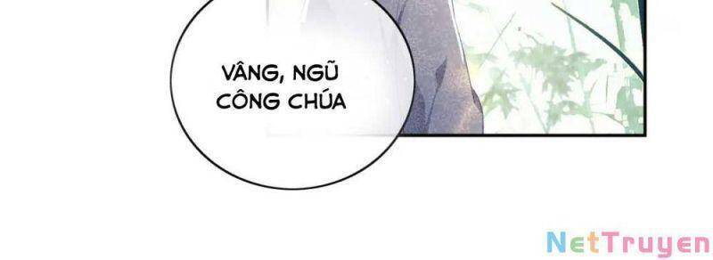 Mãn Cấp Trà Xanh Xuyên Không Thành Tiểu Đáng Thương - Chương 6