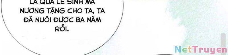 Mãn Cấp Trà Xanh Xuyên Không Thành Tiểu Đáng Thương - Chương 9