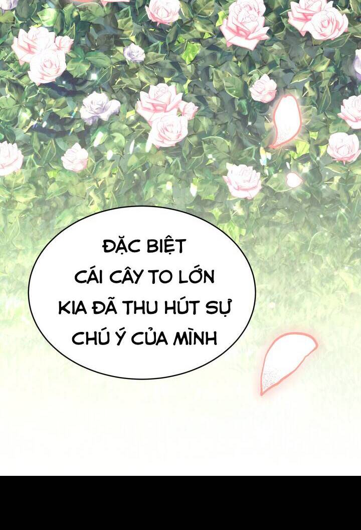 Nam Chính Là Chồng Cũ Của Tôi - Chương 17