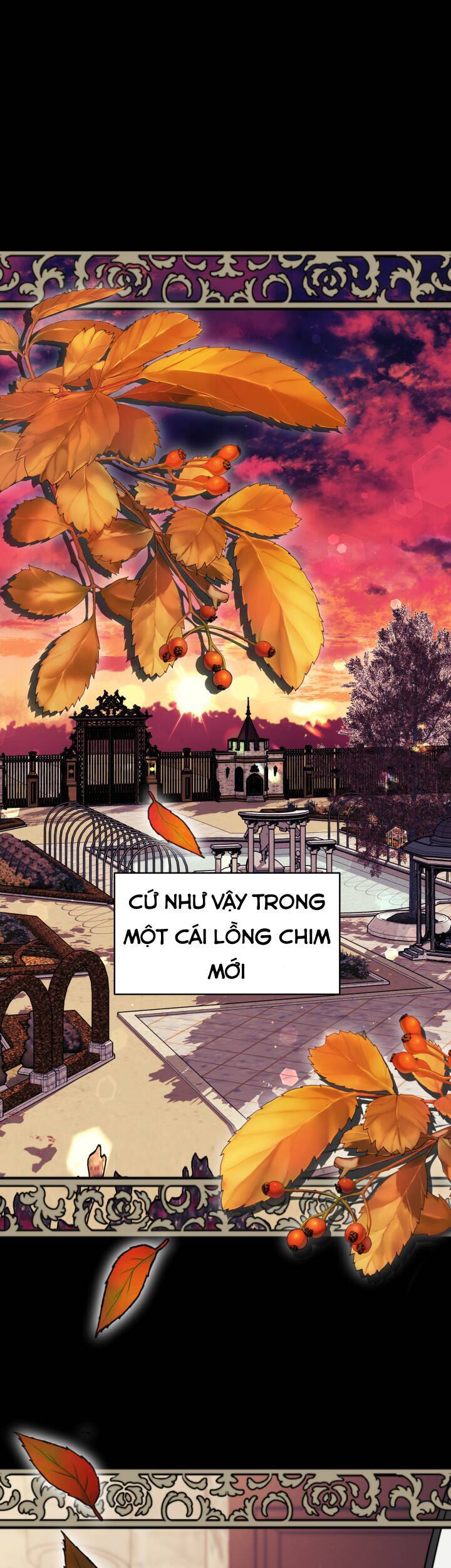 Nam Chính Là Chồng Cũ Của Tôi - Chương 17