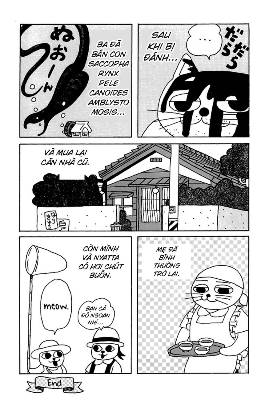 Nekojiru Udon - Chương 17