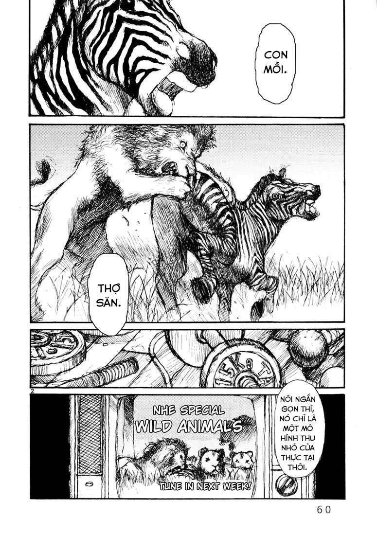 Freesia - Chương 3