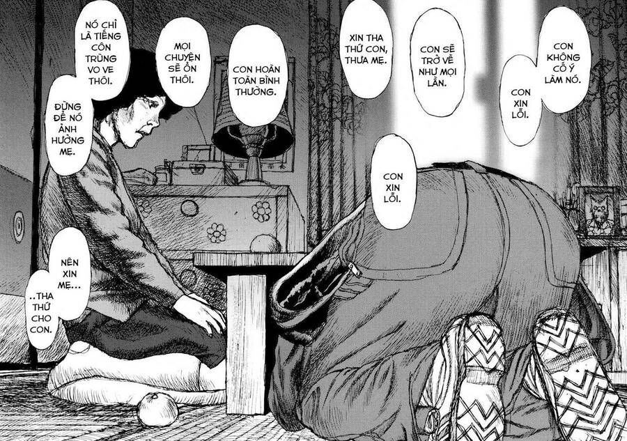 Freesia - Chương 5