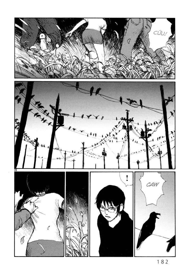 Freesia - Chương 6