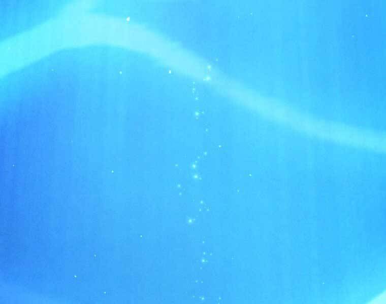 Chuyển Sinh Thành Tiêu Sư - Chương 1