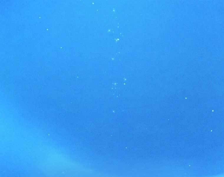 Chuyển Sinh Thành Tiêu Sư - Chương 1