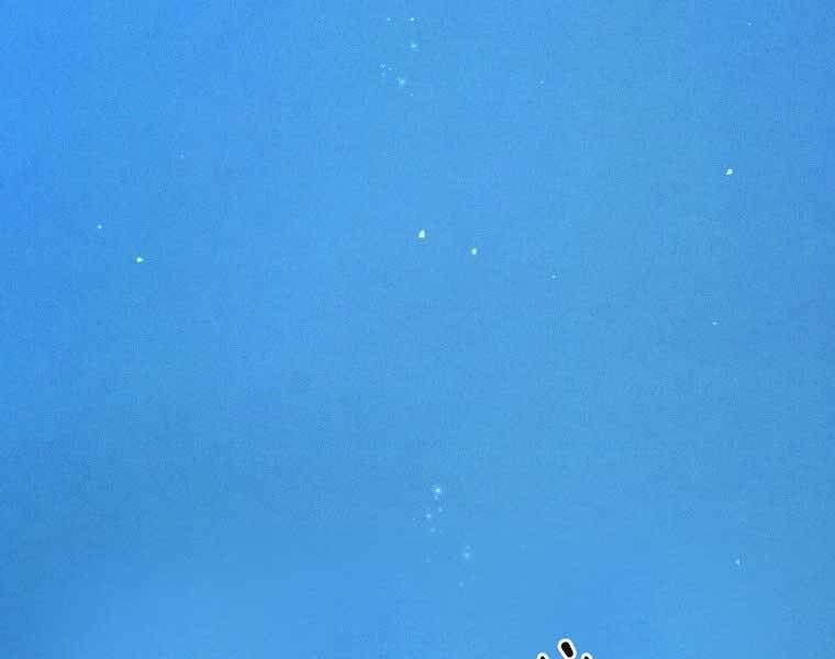 Chuyển Sinh Thành Tiêu Sư - Chương 1