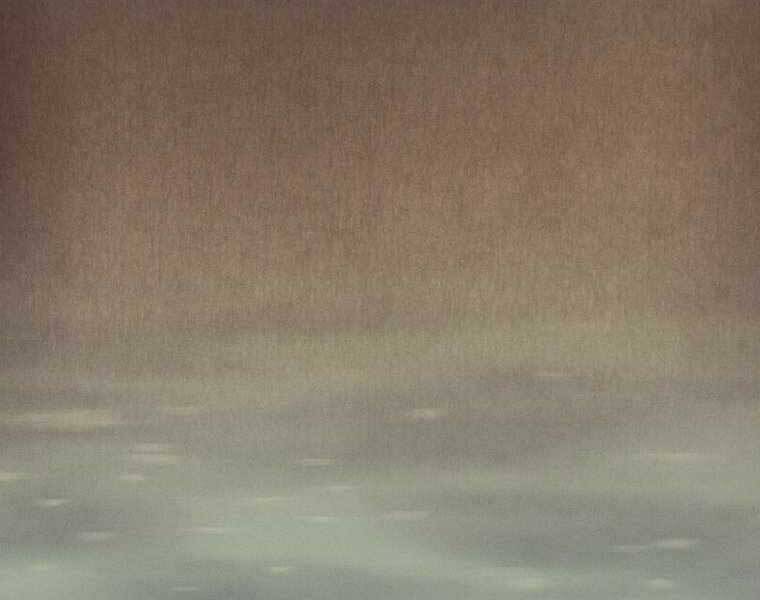 Chuyển Sinh Thành Tiêu Sư - Chương 2