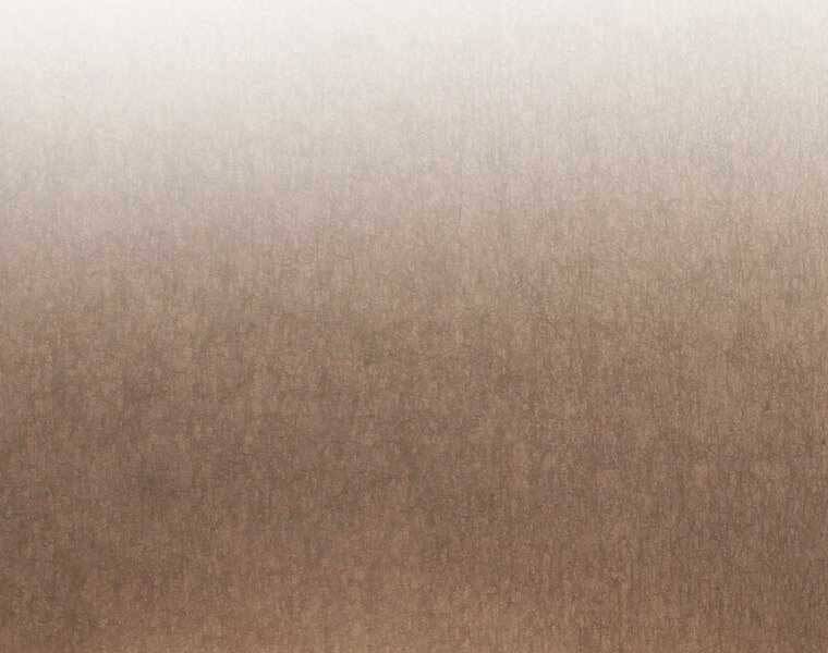 Chuyển Sinh Thành Tiêu Sư - Chương 3