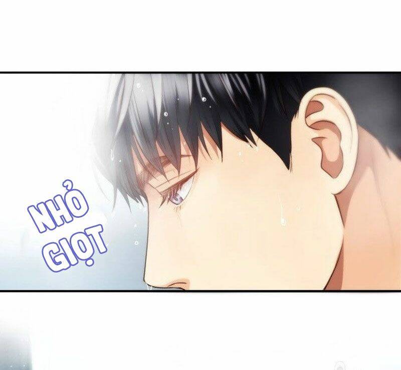 Ánh Sao Ban Mai - Chương 13