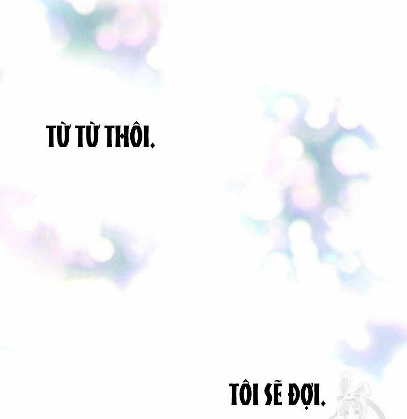 Ánh Sao Ban Mai - Chương 22