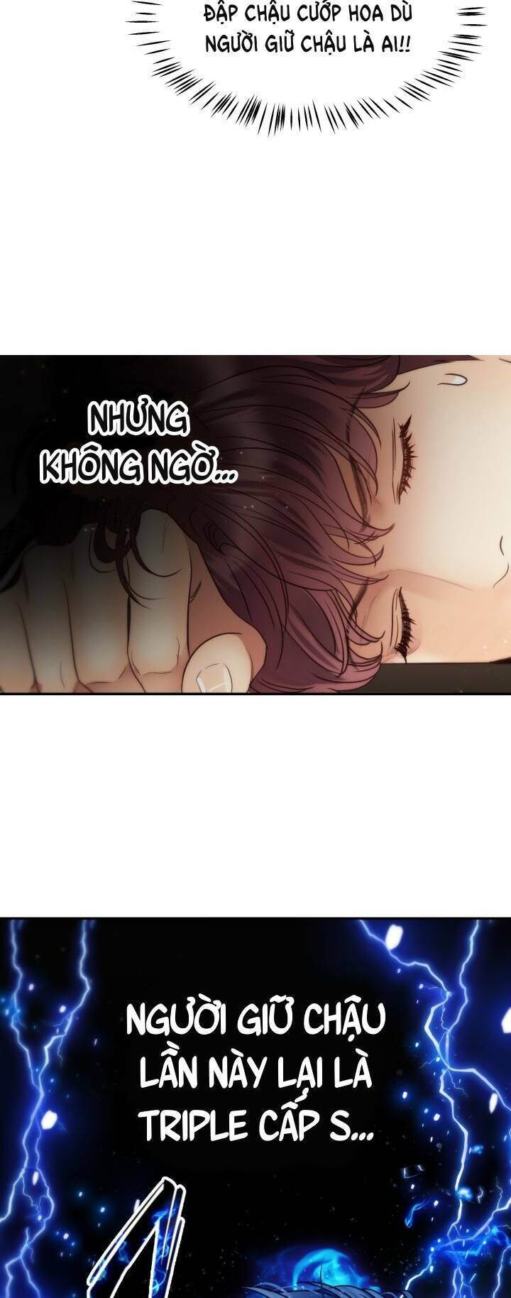 Ánh Sao Ban Mai - Chương 60