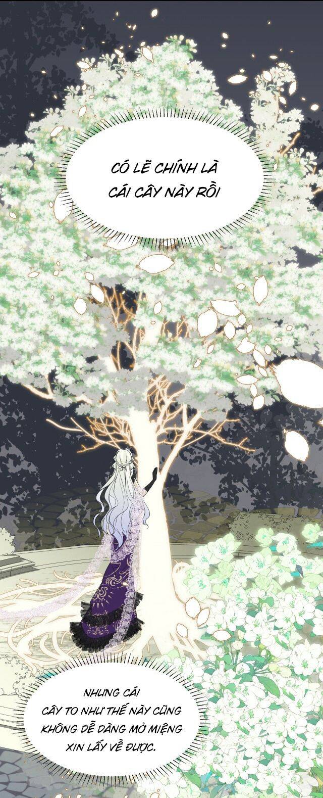 Ta Là Nữ Phụ Độc Ác - Chương 4