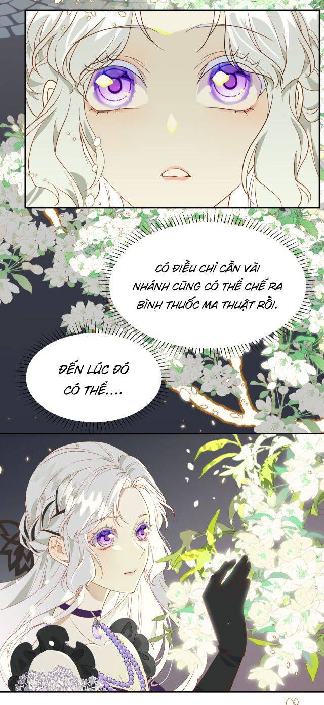 Ta Là Nữ Phụ Độc Ác - Chương 4