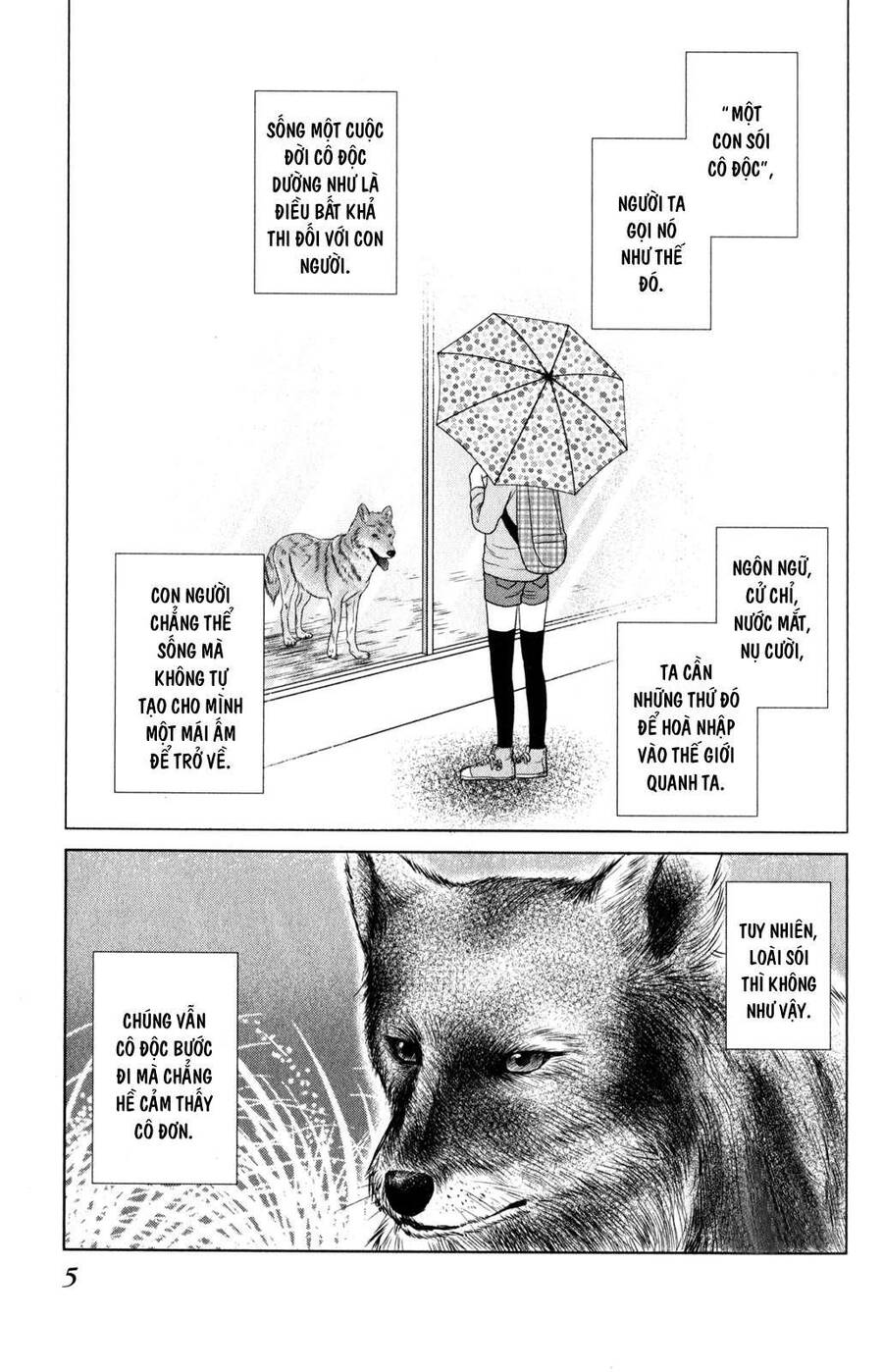 Bambi To Dhole - Chương 1