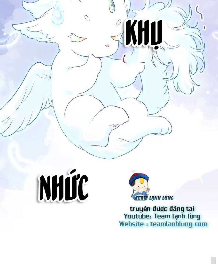 Nữ Phụ Ác Độc Và Vương Gia Phản Diện Cấm Dục - Chương 2