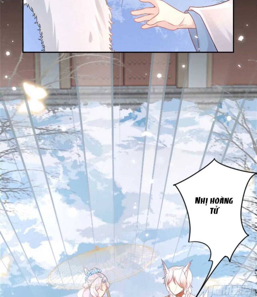 Sư Phụ Ta Muốn Người Là Của Riêng Ta - Chương 3