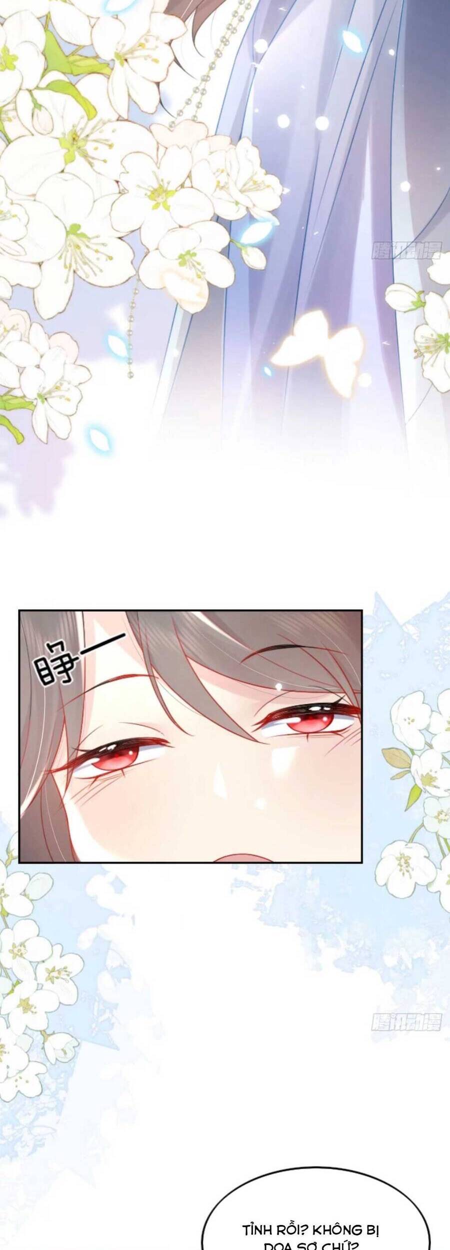 Sư Phụ Ta Muốn Người Là Của Riêng Ta - Chương 4