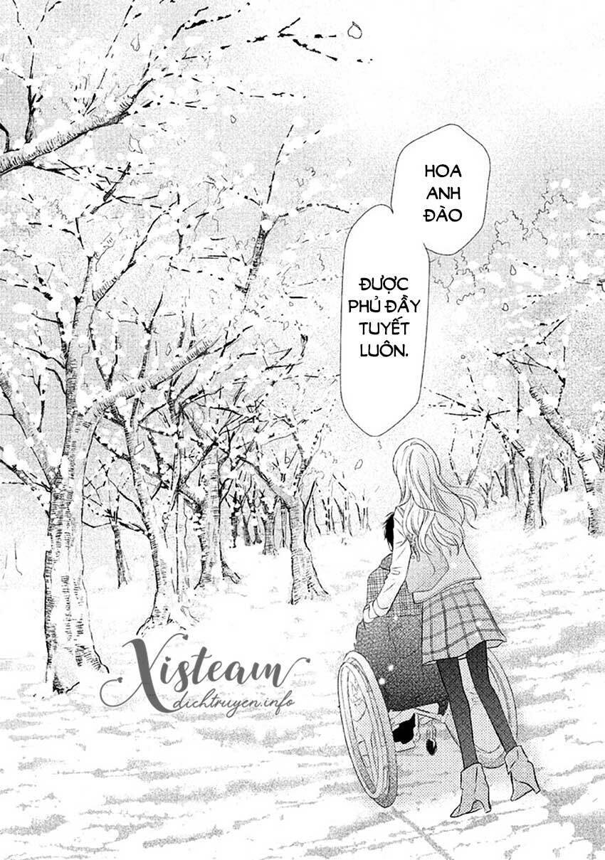 Perfect World (Aruga Rie) - Chương 14