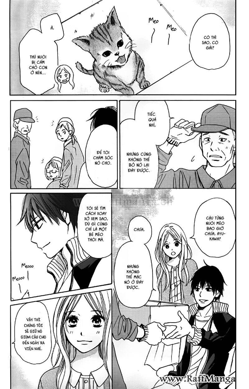 Perfect World (Aruga Rie) - Chương 4