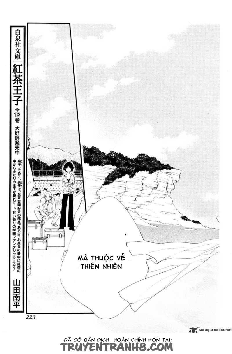 Orange Chocolate - Chương 13