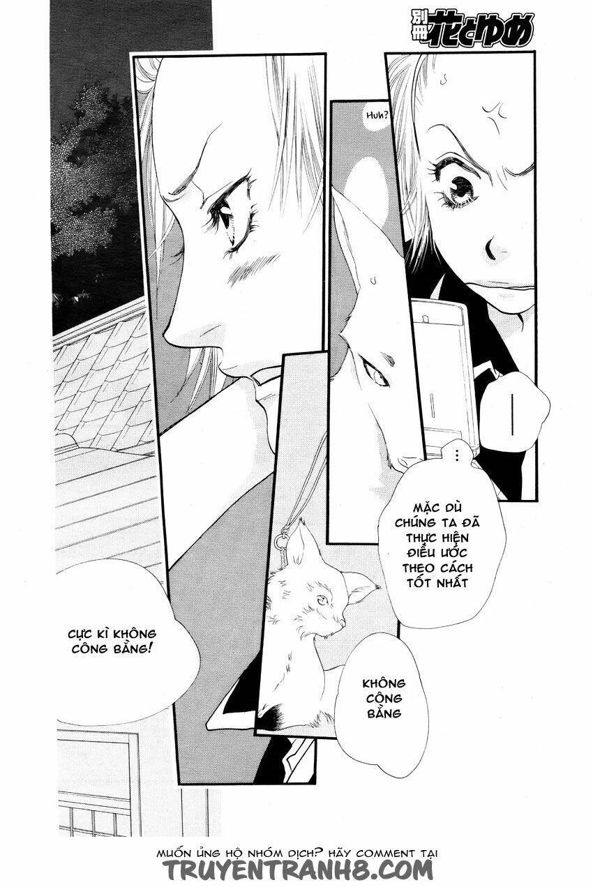 Orange Chocolate - Chương 14