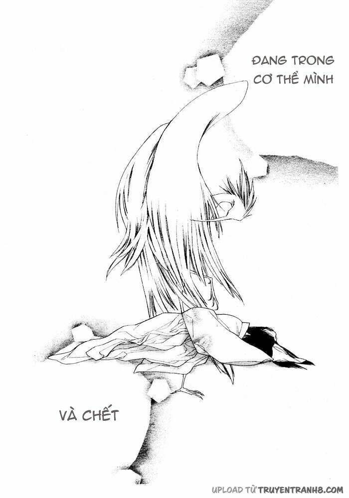 Orange Chocolate - Chương 3