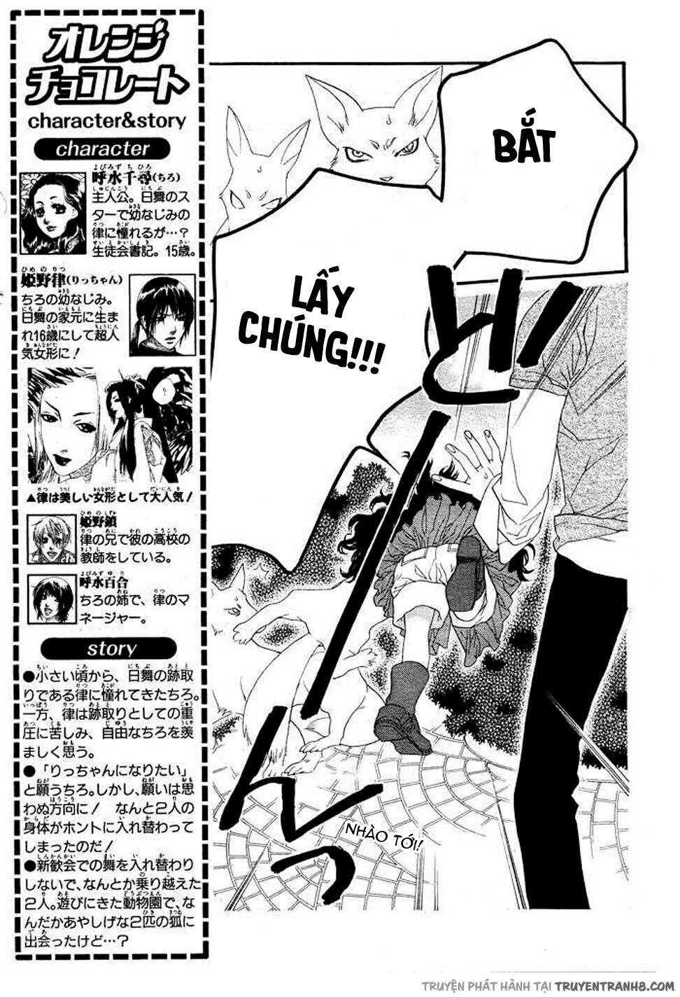Orange Chocolate - Chương 8