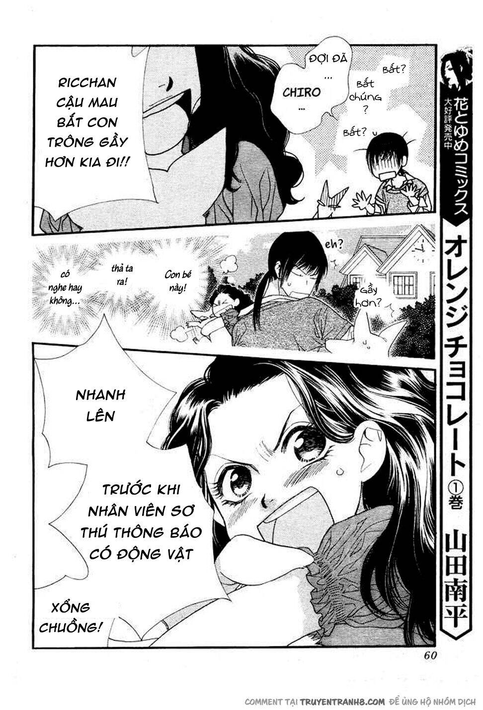 Orange Chocolate - Chương 8