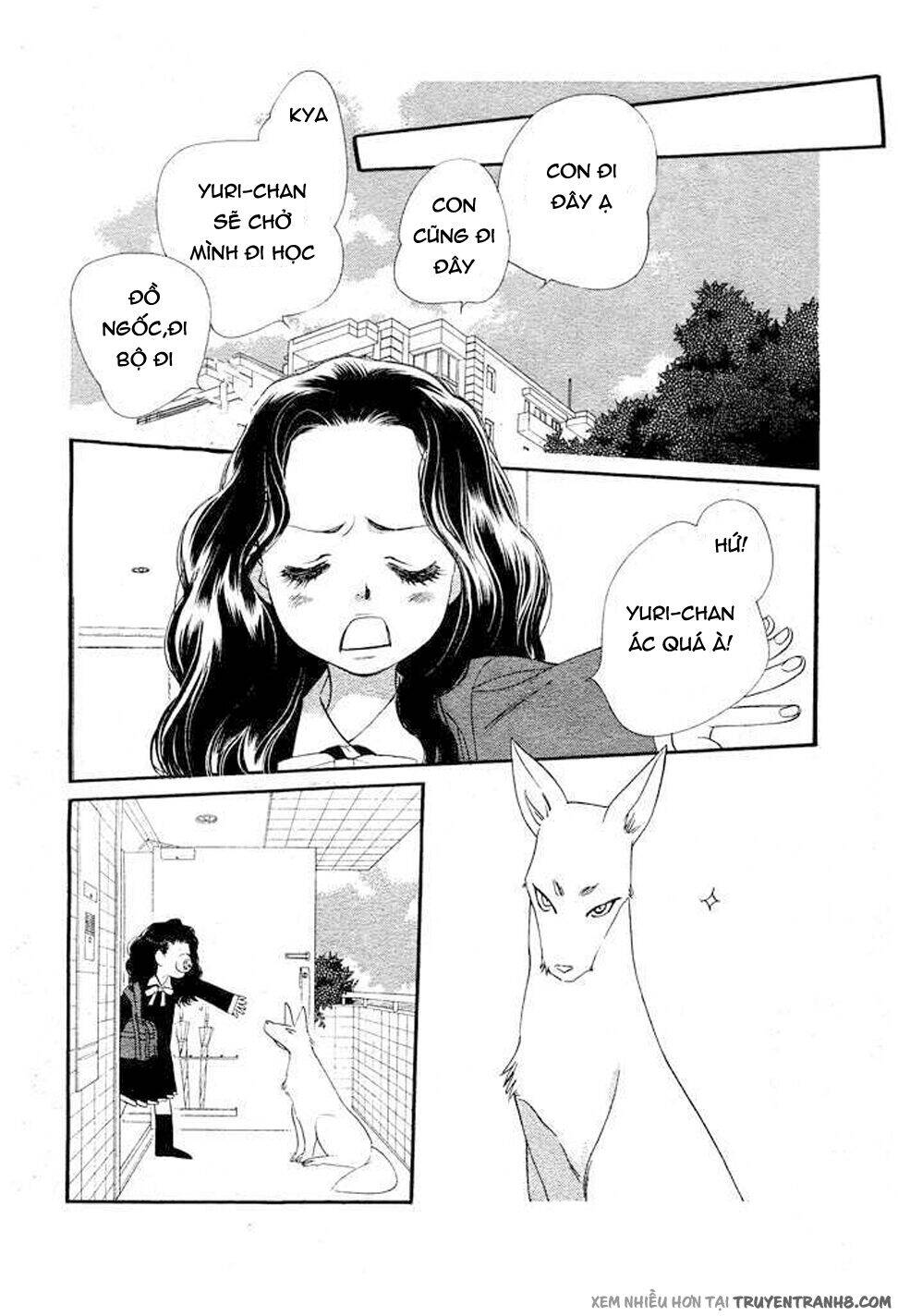 Orange Chocolate - Chương 8