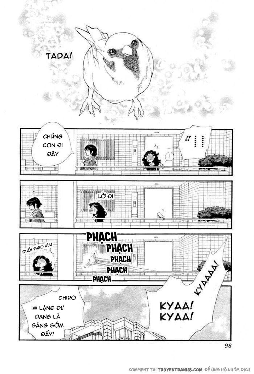 Orange Chocolate - Chương 8