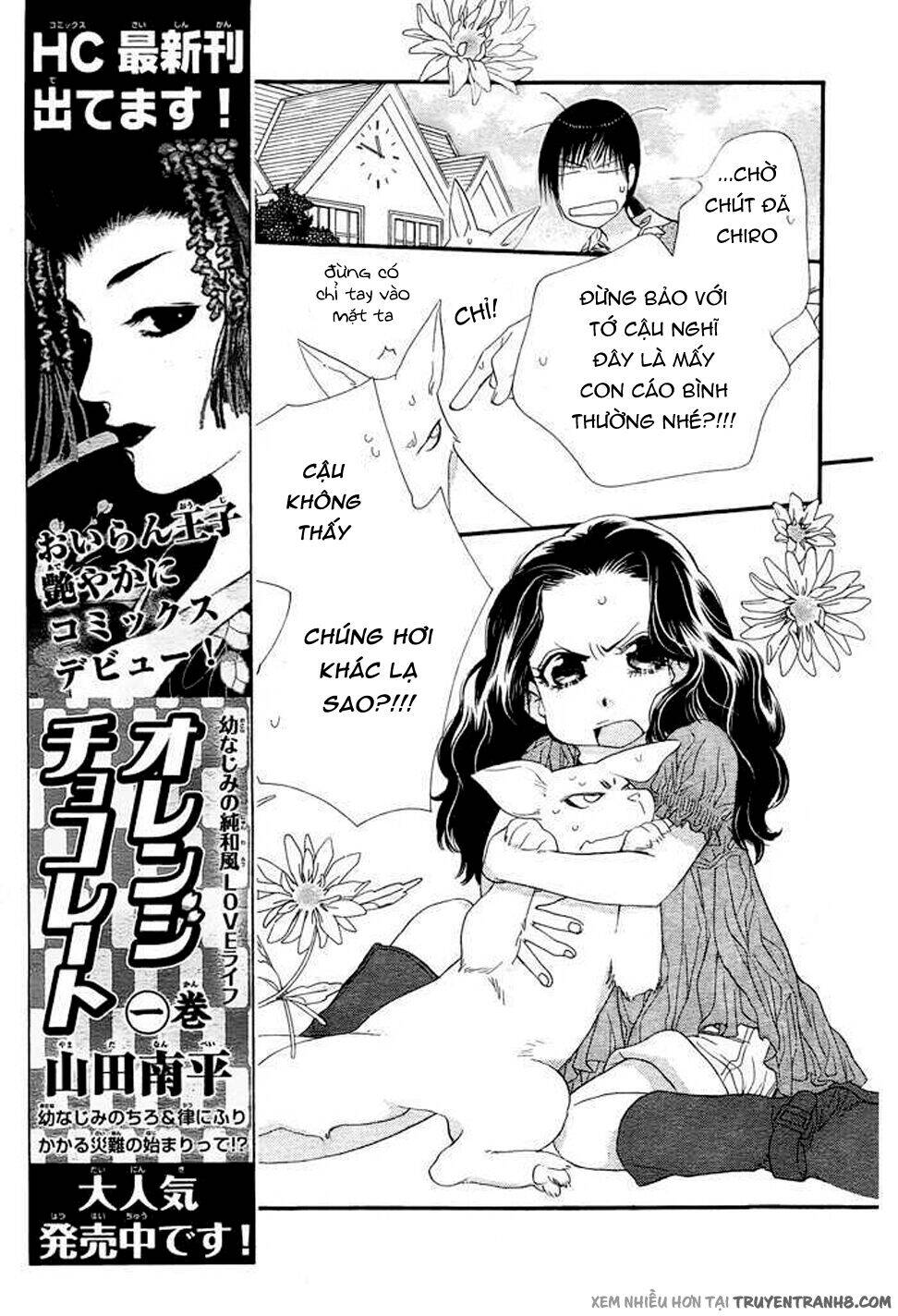 Orange Chocolate - Chương 8