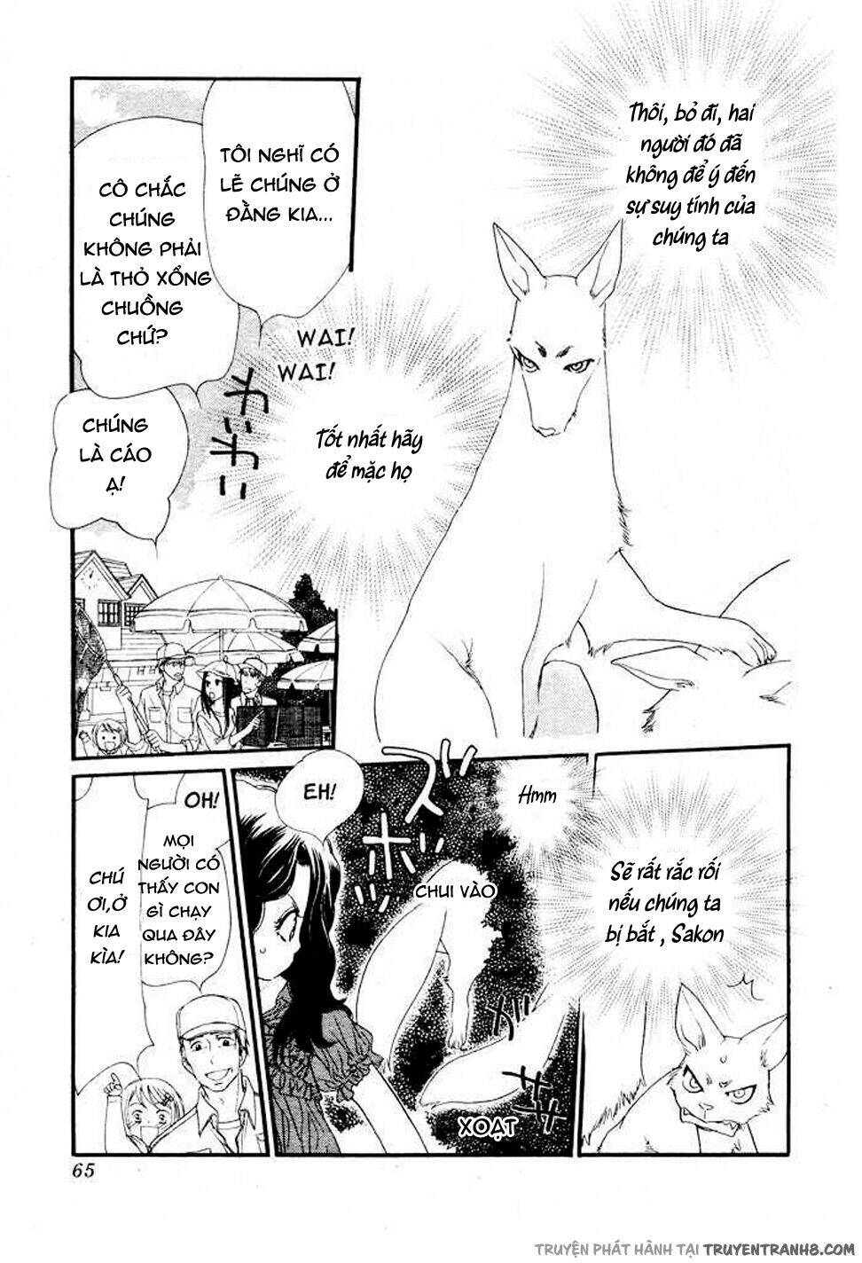 Orange Chocolate - Chương 8