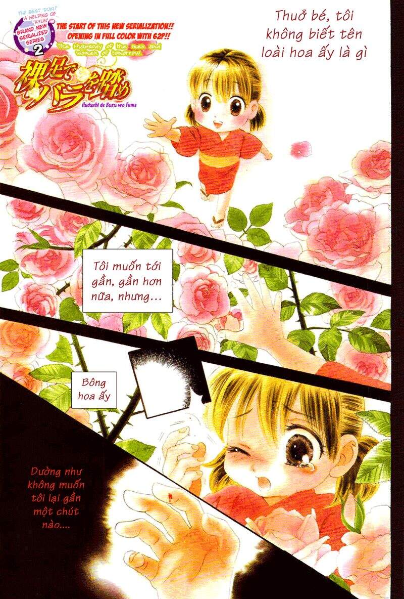 Stepping On Roses - Chương 1