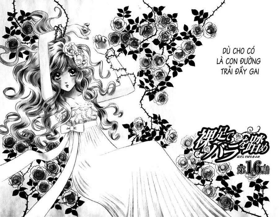 Stepping On Roses - Chương 16