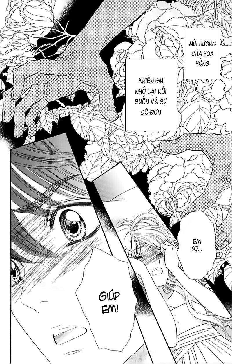Stepping On Roses - Chương 28
