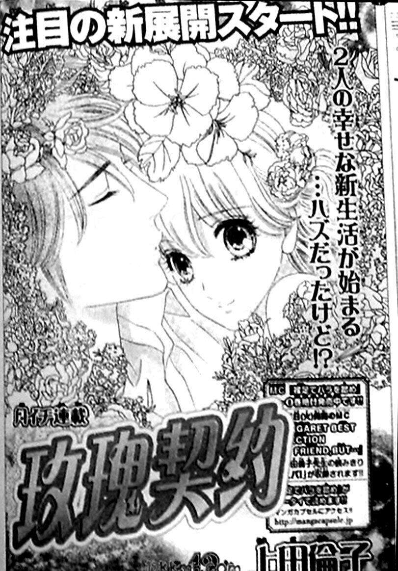 Stepping On Roses - Chương 42