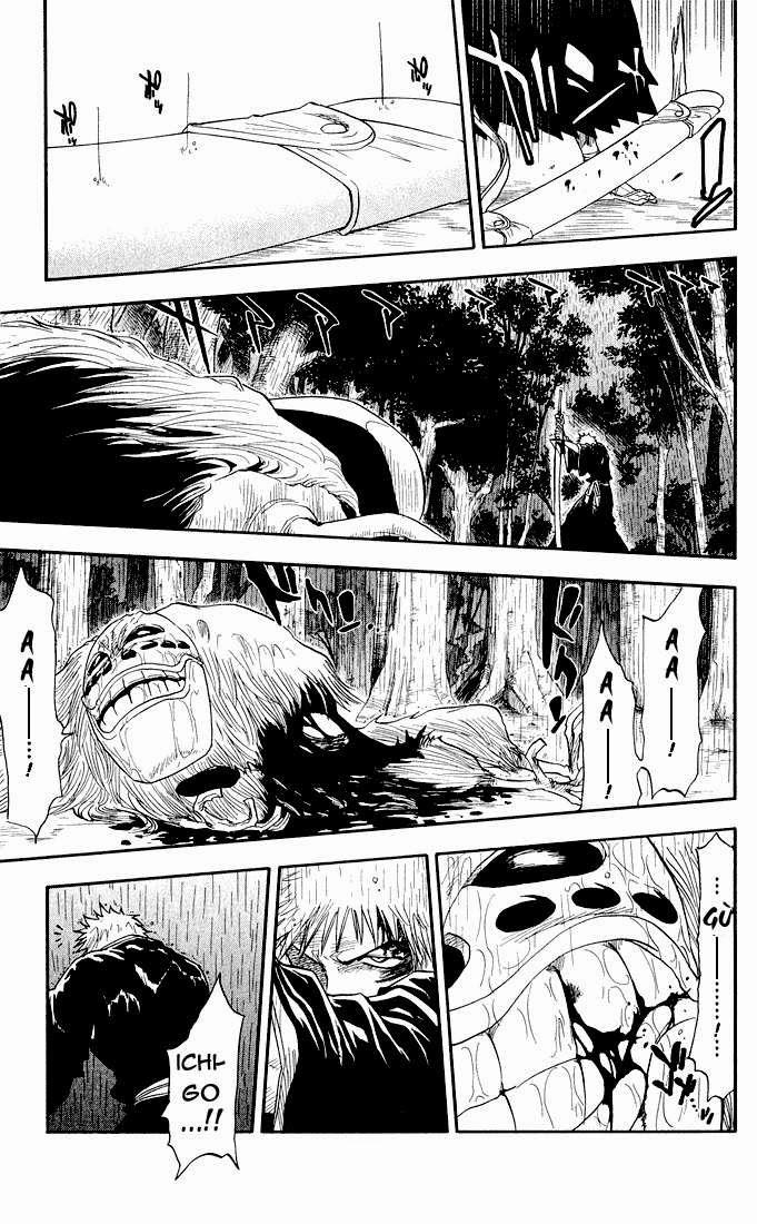 Thần Chết Ichigo - Chương 24